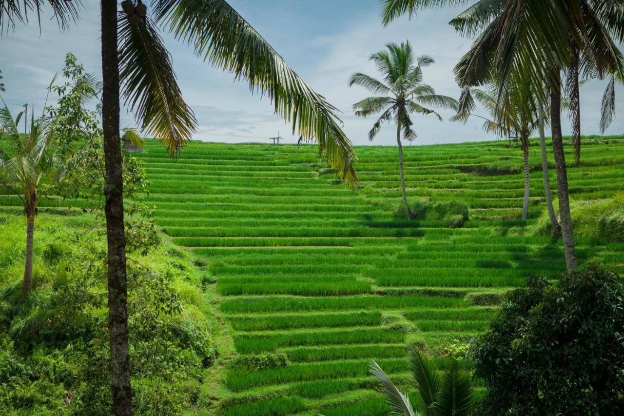 Be Bali Stay Ubud  Exterior photo