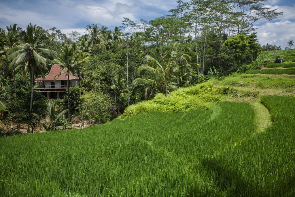Be Bali Stay Ubud  Exterior photo